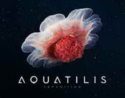 Роман Ротенберг: «Восхищаюсь тем, как в НХЛ развивается хоккей, все должны так работать. Нужно больше голов. Генменеджер «Каролины» сказал мне: «Если вы проиграете, поставив автобус, фанаты уйдут»